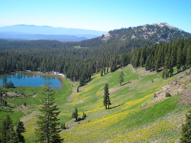 landscape with lake, field, forest, and mountains