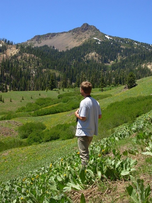 A hiker views Mt. Diller, visible from the trail to Mill Creek Falls. The hiker is surrounded by shrub and flower-filled meadows.