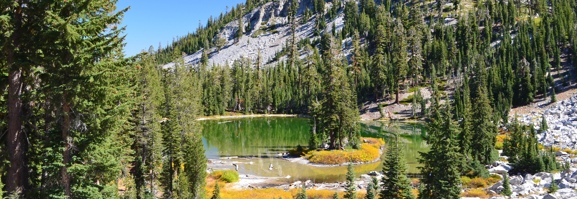 Forest Surrounding Cliff Lake