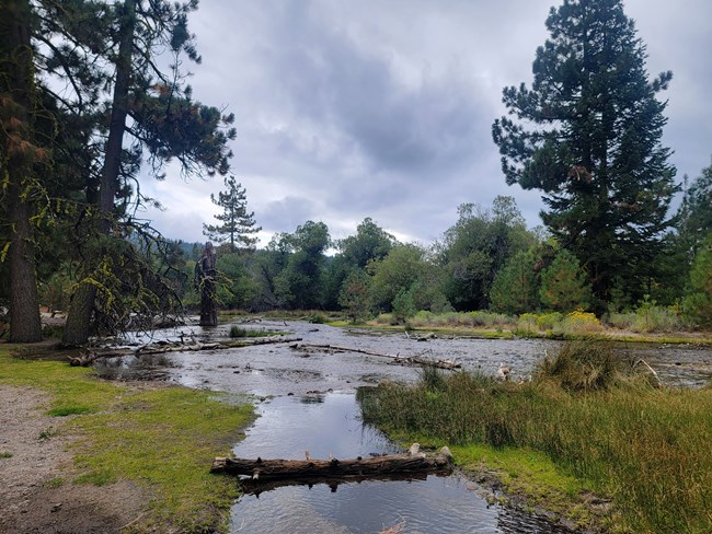 shallow creek with gray clouds above, overcast