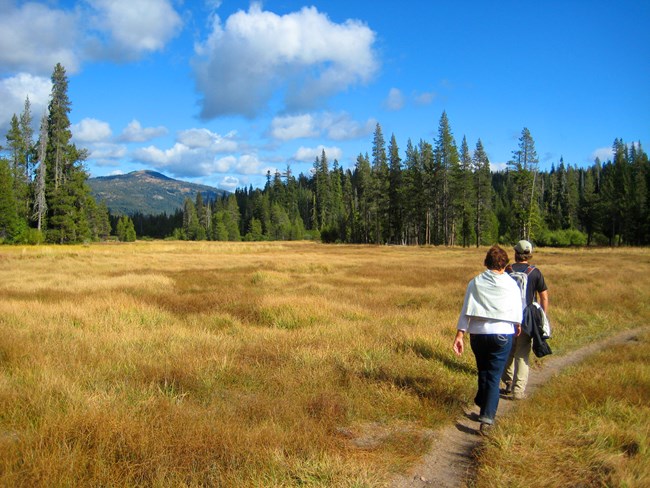 two people walking on a trail through a field, mountain and sky in background