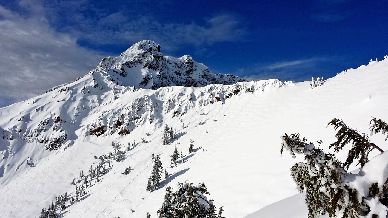 a snowy mountain peak with snow-covered pines and bright blue sky