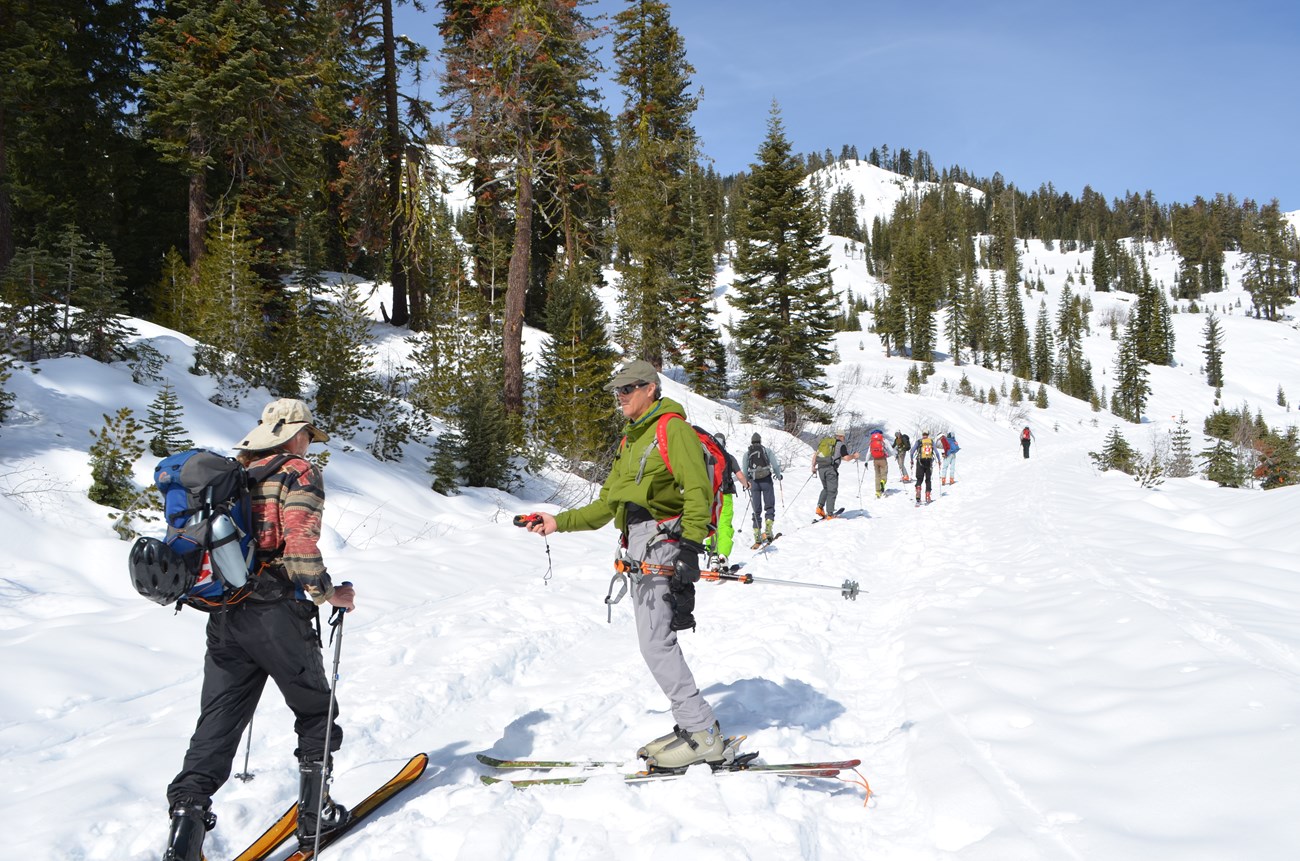 a line of skiers heading out on trail past a man holding a beacon checker