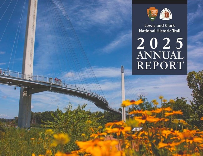 a bridge stretches over flowers and a clear sky