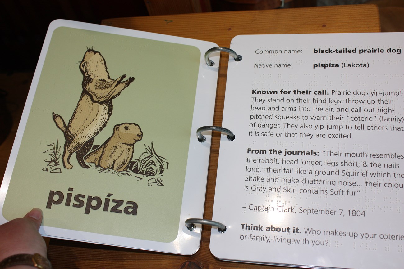 aluminum exhibit book features information printed in braille and a tactile 3D printing of a prairie dog image.