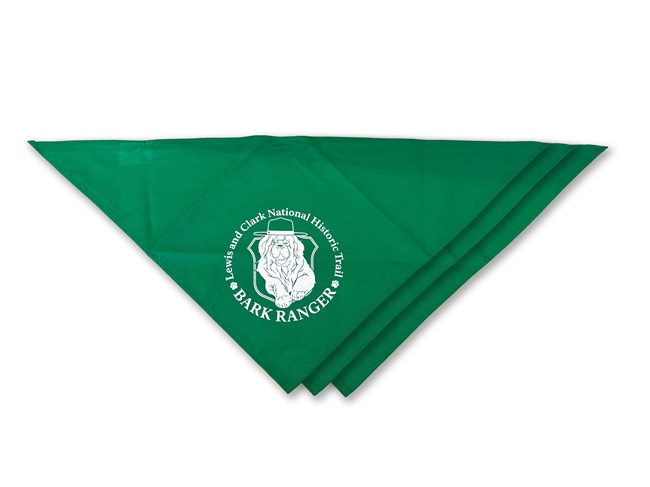 Triangle-shaped bandana with printed illustration of a dog