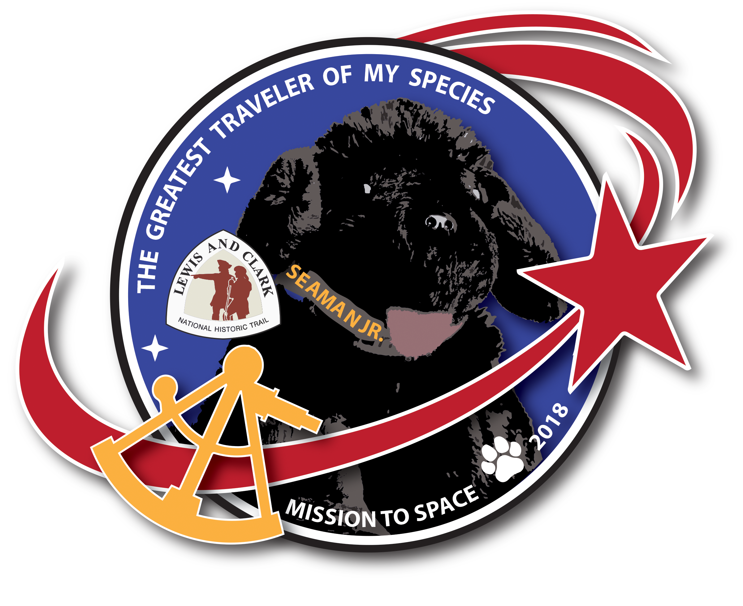 Patch for Seaman Jr space mission
