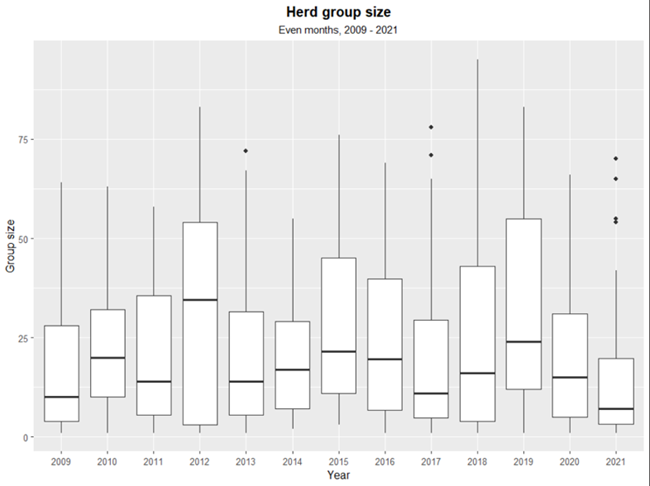 Bar graph of Elk herd group size