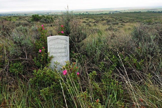 a white headstone framed in pink roses and dark green leaves, text reads: US Soldier 7th Cavalry fell here June 25 1876