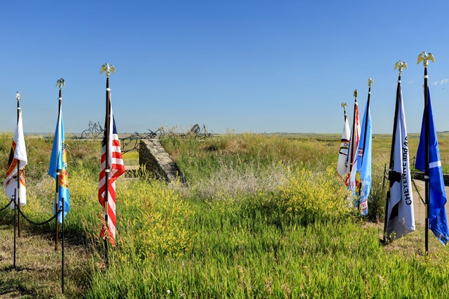 national flags in two rows standing in grass below blue sky