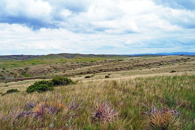 rolling hills of dried grasses below gray cloudy skies