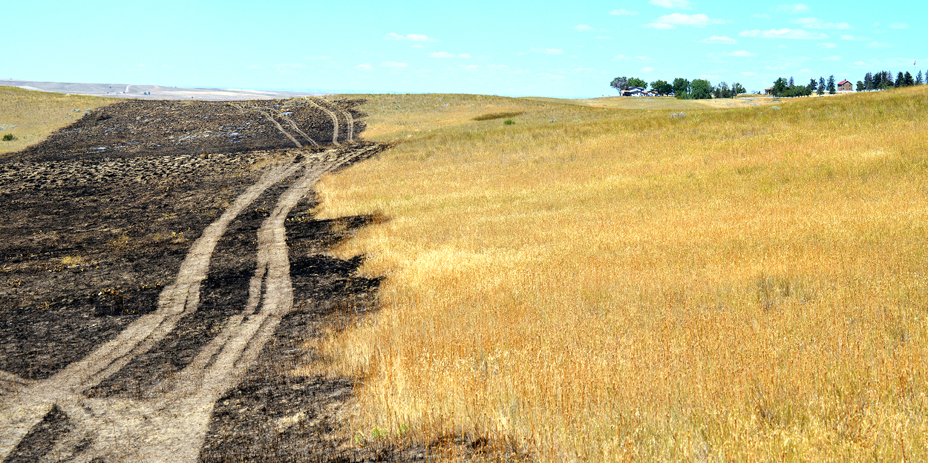 Medicine Tail Coulee Fire
