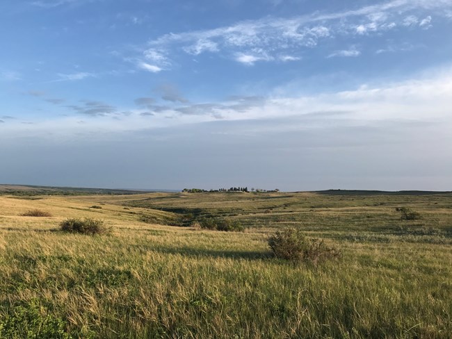Prairie with blue sky