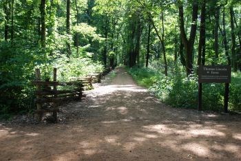 Dirt hiking trail surrounded by trees