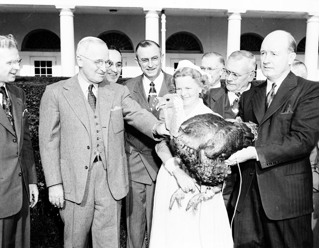 President Truman stands next to a woman holding a turkey, with his hand reaching towards the turkey