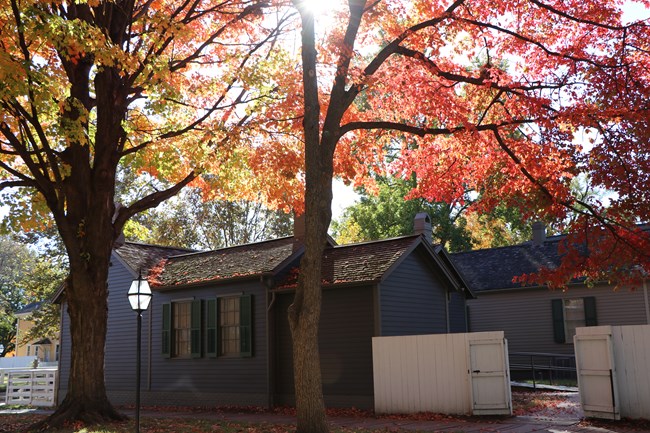 The back of the Corneau home with trees in front and the sun shining though the branches during fall