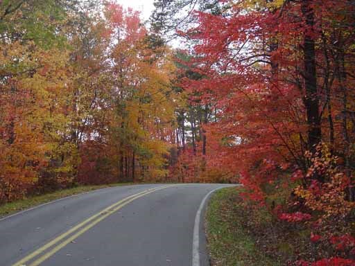 AL Hwy 176 / Scenic Drive in the fall season