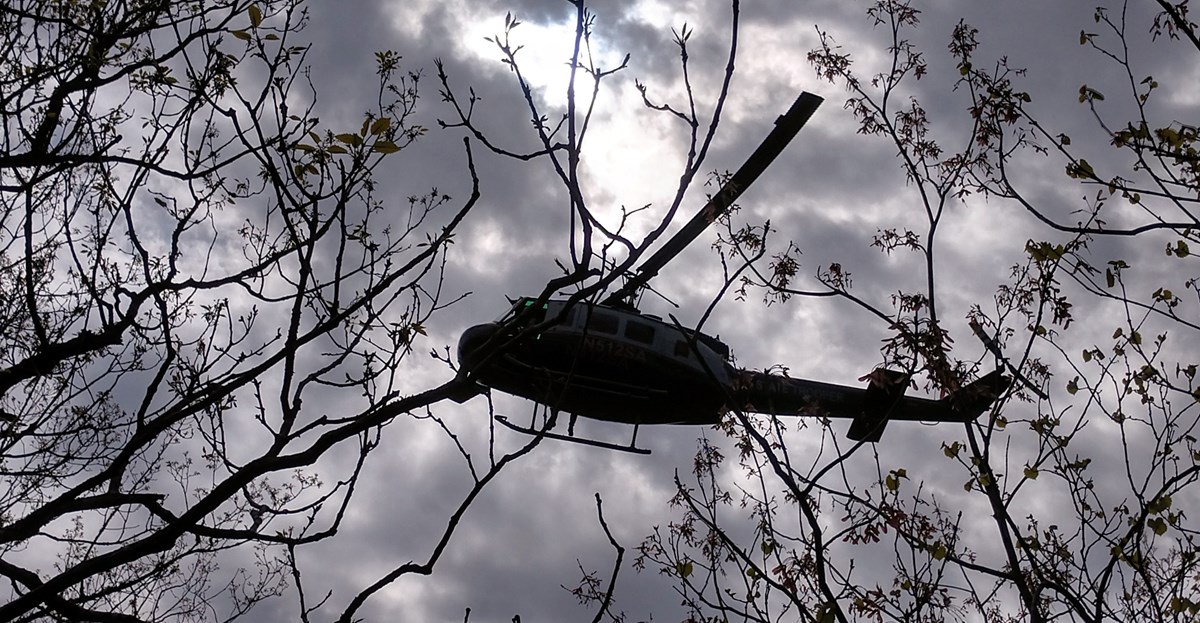 Helicopter on a cloudy day seen hovering through bare tree branches