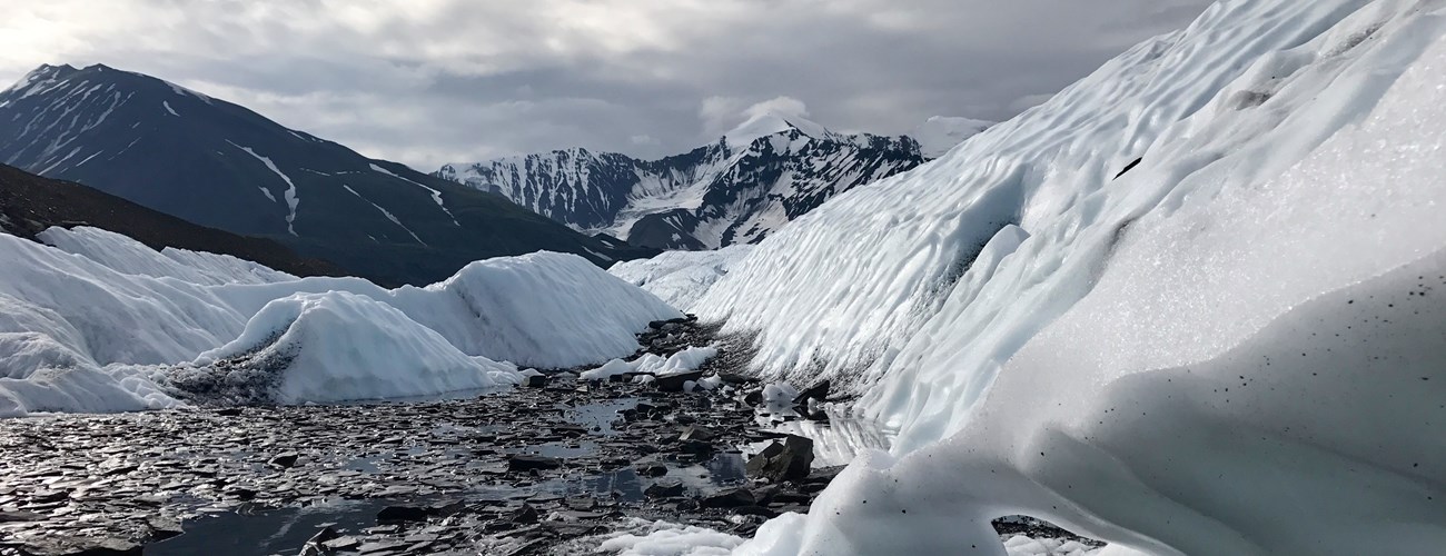 pieces of glacial ice along a river with mountains in the background