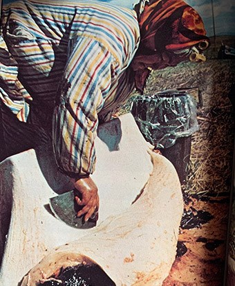 A woman in a colorful striped garment leans over a large bone and uses a fan-shaped knife to cut the meat off the bone.