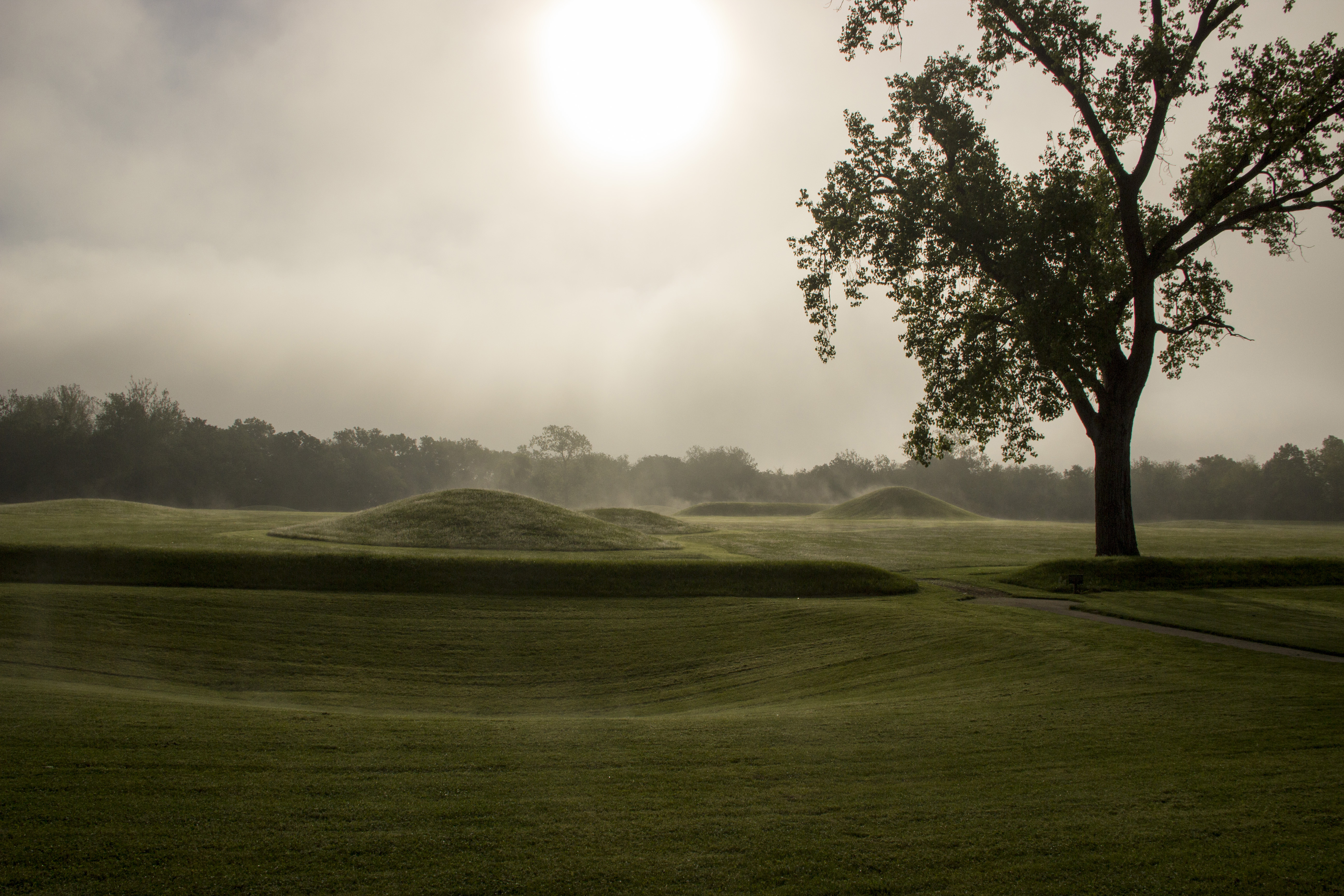 Steam fog lifts up from grass-covered mounds surrounded by trees.