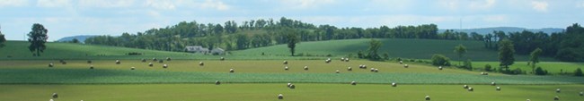 fields with rolling hills and hay bales