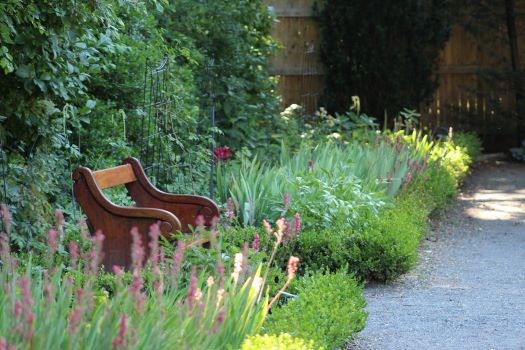 Wooden bench along a gravel garden path, amid lush greenery and purple flowers