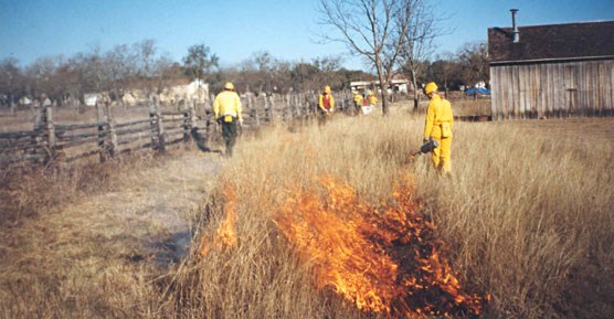 A prescribed burn takes place at the Johnson Settlement