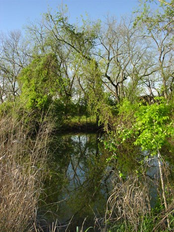Johnson Settlement Pond