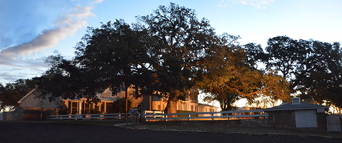 Texas White House at sunset surrounded by huge oak trees.