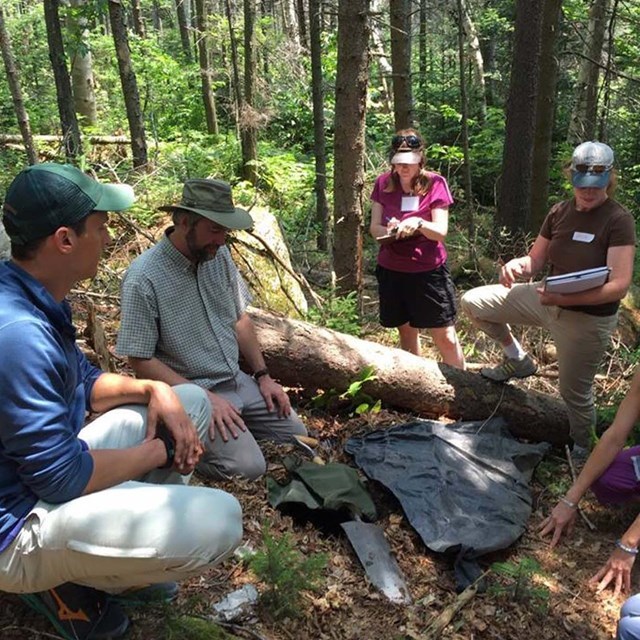 Teachers in the woods attending a workshop
