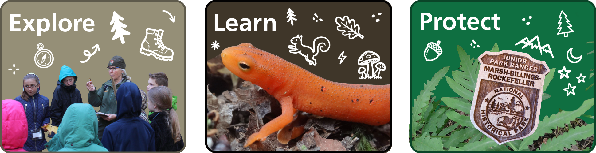 Three boxes with the headings "explore", "learn", and protect". First box has an image a park ranger talking to elementary aged children, 2nd box has a newt, 3rd is a junior ranger badge