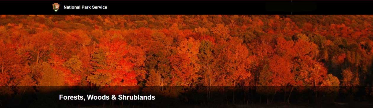 NPS banner image of forest ablaze with fall color