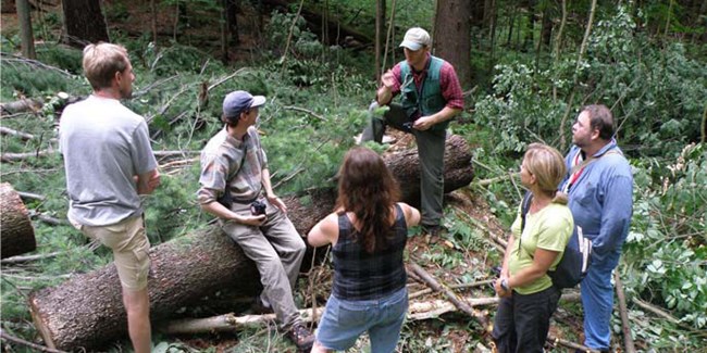 Sustainable Forestry discussion