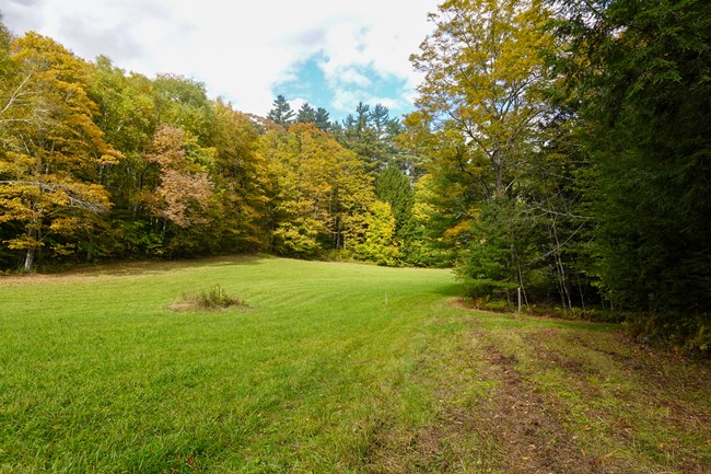 field in early fall