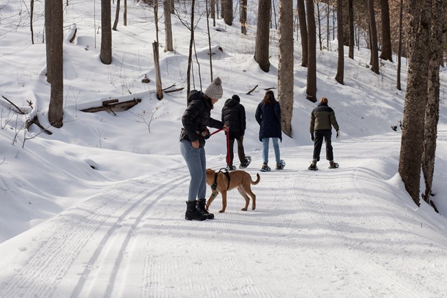 group of people hiking and snowshoeing