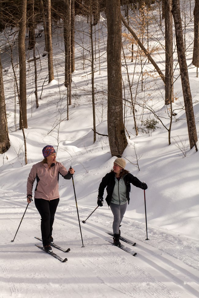 two cross country skiiers on groomed winter trail