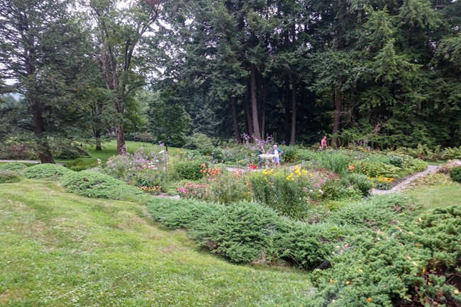 View of colorful garden from uphill