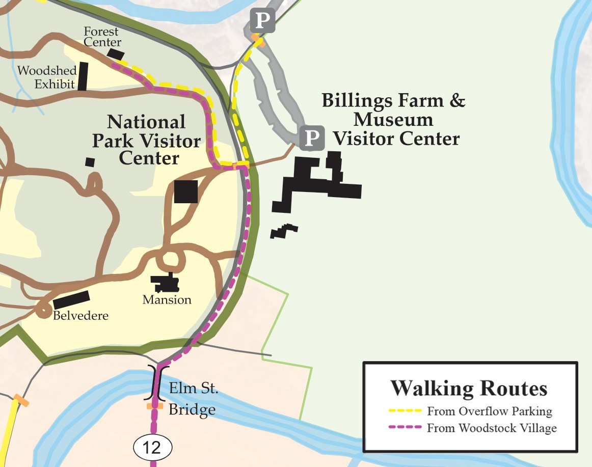 map with walking directions to forest center