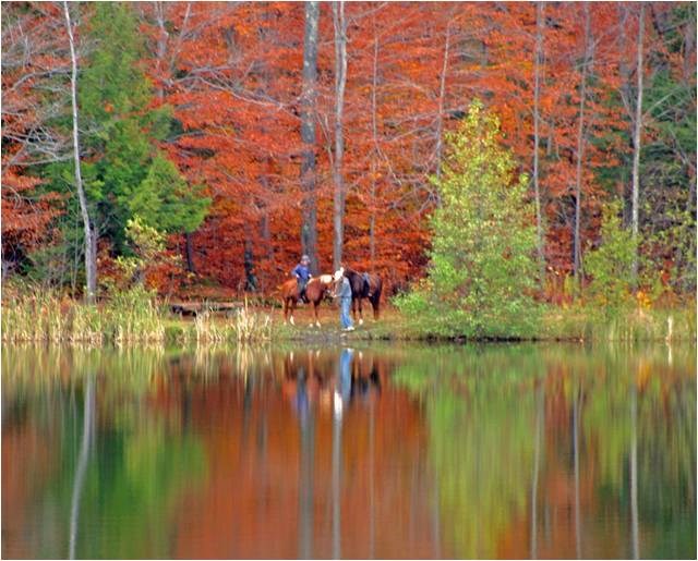 Horses with Riders