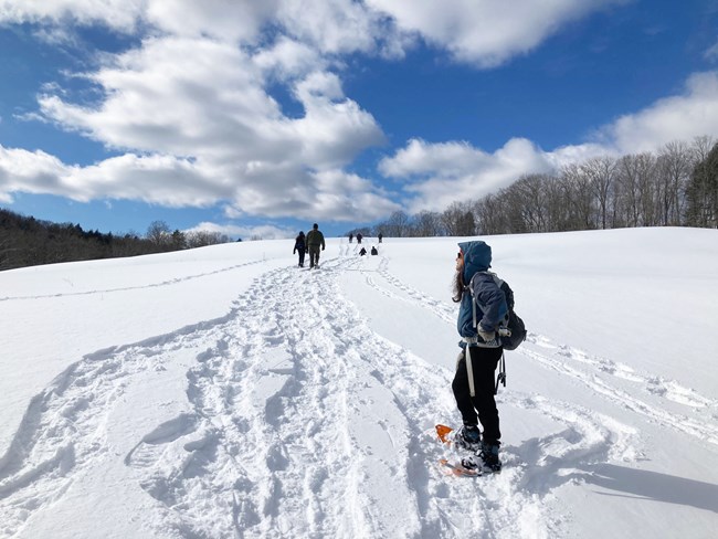 Group of people snowshoeing across snow with trees in background and a blue sky with white clouds.