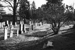 Black and white image of sunlight and shadows falling on old headstones.