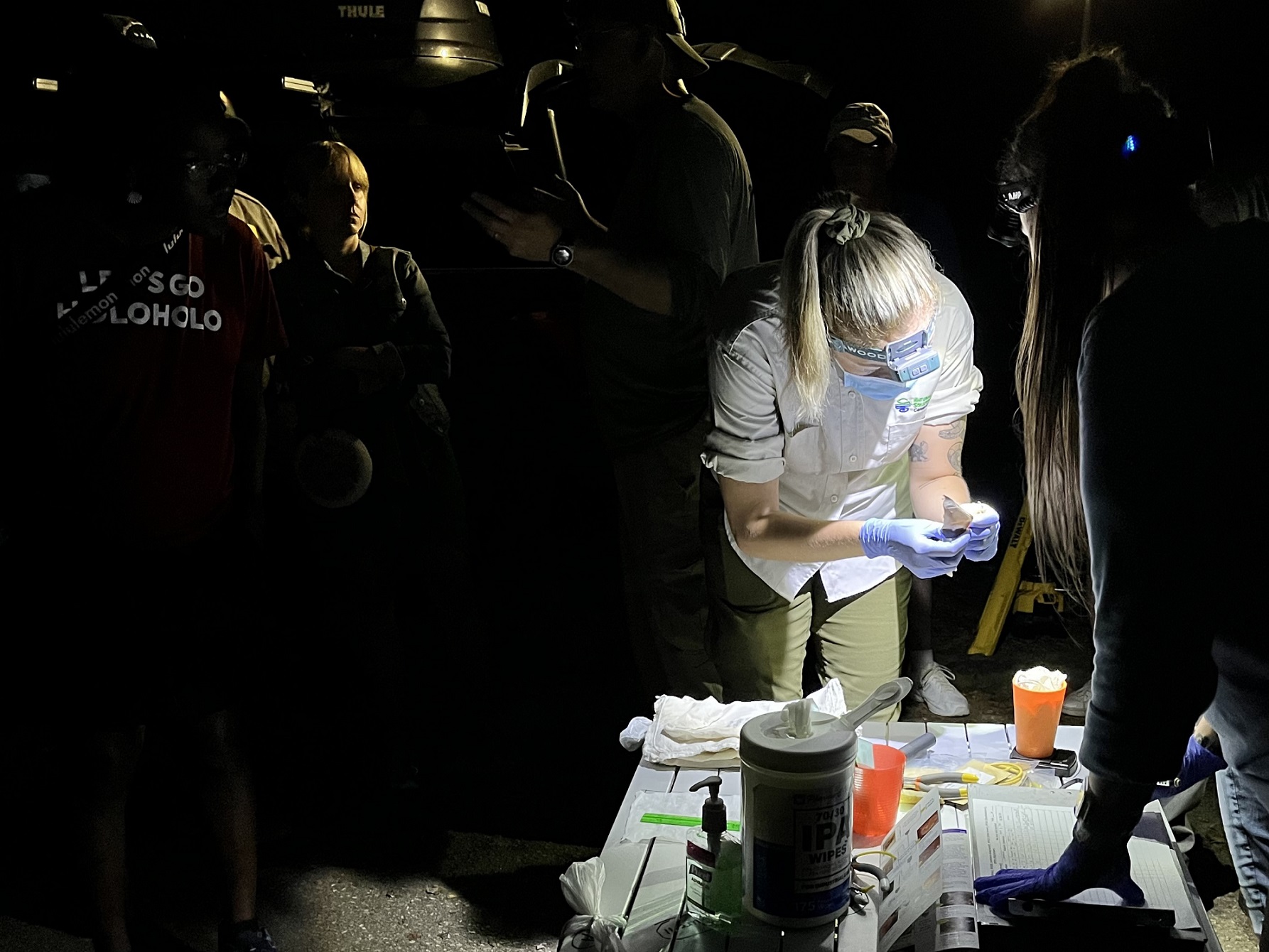 A person with protective gloves holds a small bat while a crowd of people watch.