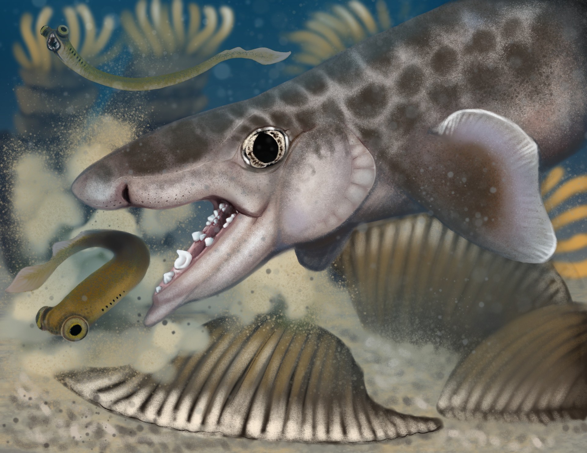 Graphic depicting a prehistoric shark with large, jagged teeth about to bite a small, large-eyed sea creature.