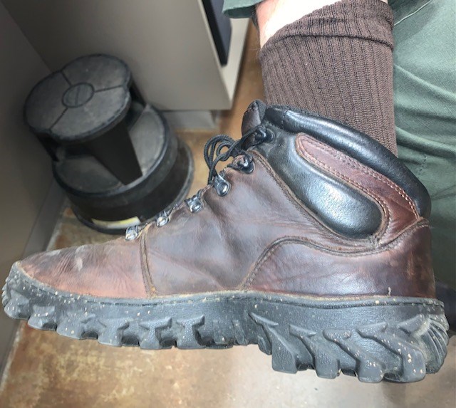 Hiking boot showing ankle height.