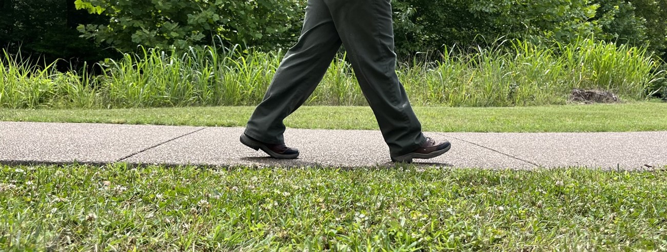 A person is walking on a paved sidewalk with green grass and vegetation in the background