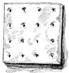 A drawing of a piece of square hardtack with 16 holes in it in a 4 by 4 pattern.