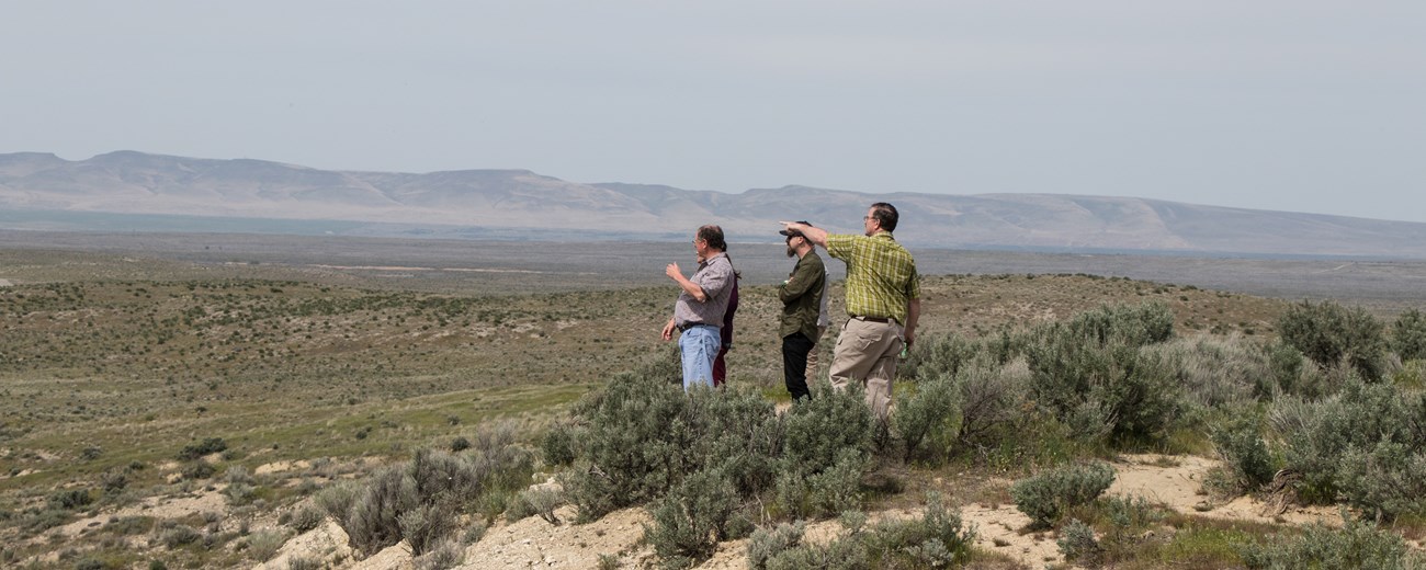 Four people stand on a hill covered in low-growing shrubs looking and pointing towards dry grassy hills in the distance.