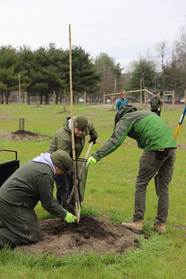 Staff and volunteers add compost to amend the soil during the orchard planting.