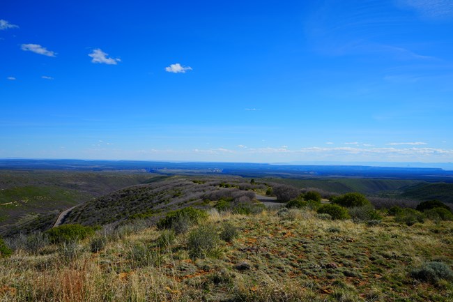 A wide view of Mesa Verde, with vast flat-topped mesas divided by canyons
